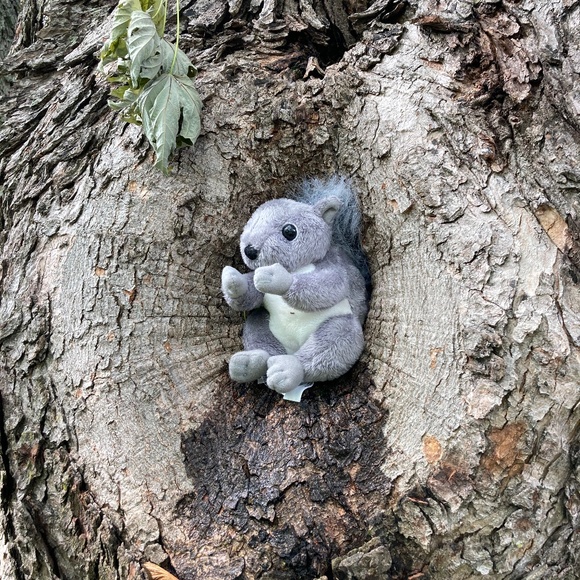 Live show item - Picture 1 of 1